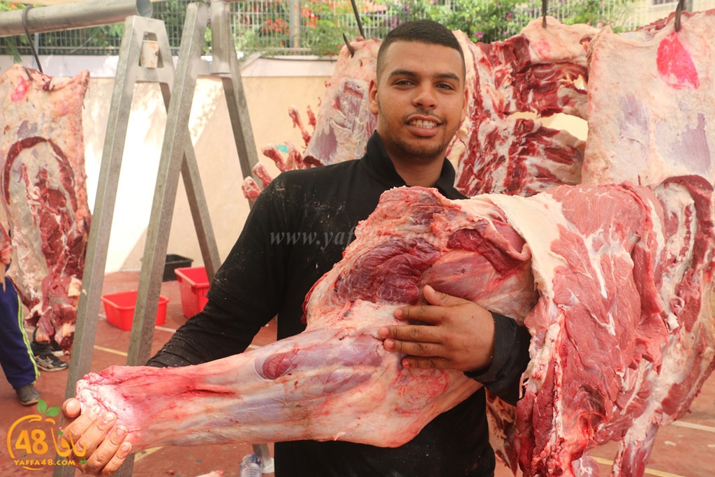 ada7y forthei (83).JPG